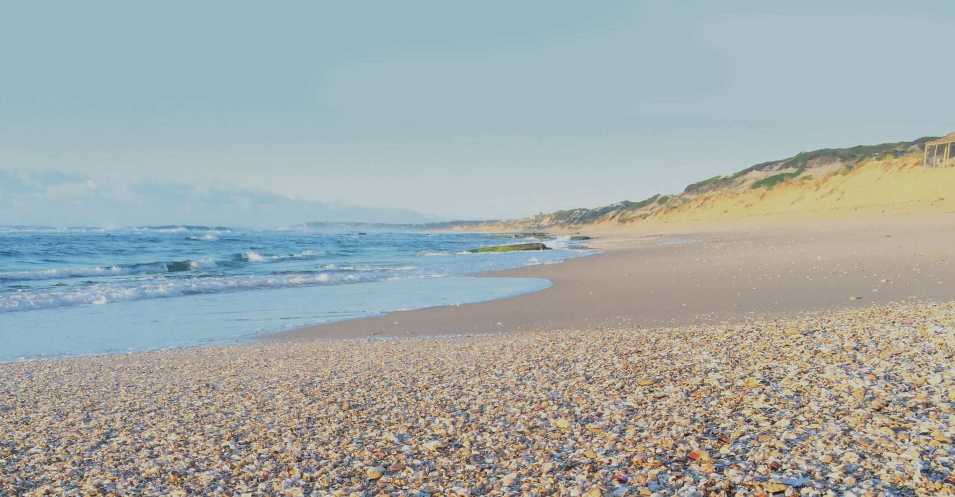 Beach Front